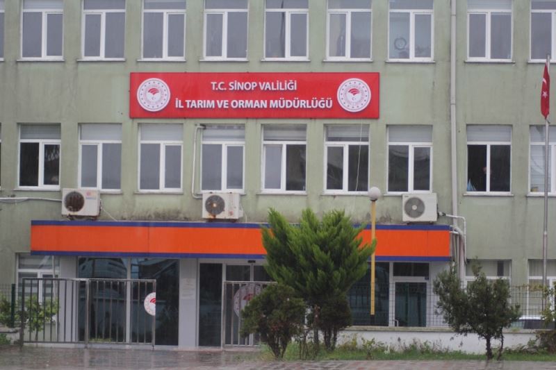 Sinop’da arıcılık desteklemesi başvuruları devam ediyor
