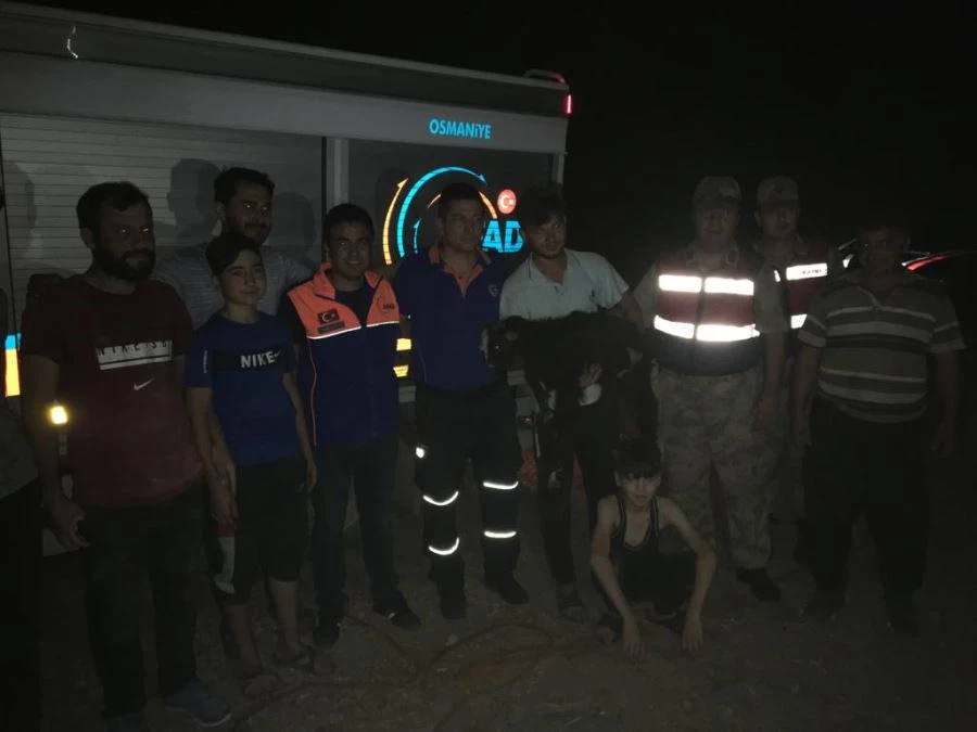 KAYALIKLARDA SIKIŞAN KEÇİ, AFAD EKİPLERİNCE KURTARILDI