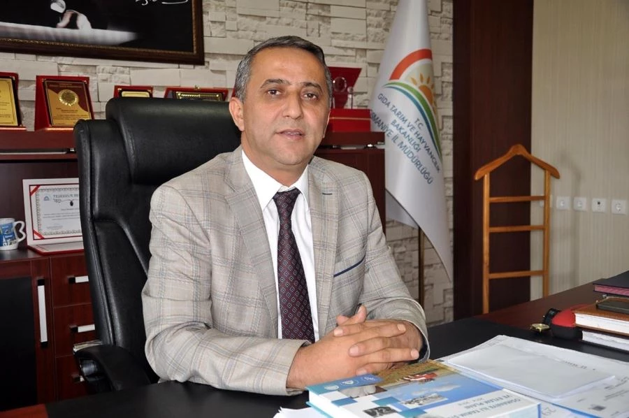 YÜZDE 40 HİBELİ DÜVE ALIM DESTEĞİ BAŞVURULARI BAŞLADI