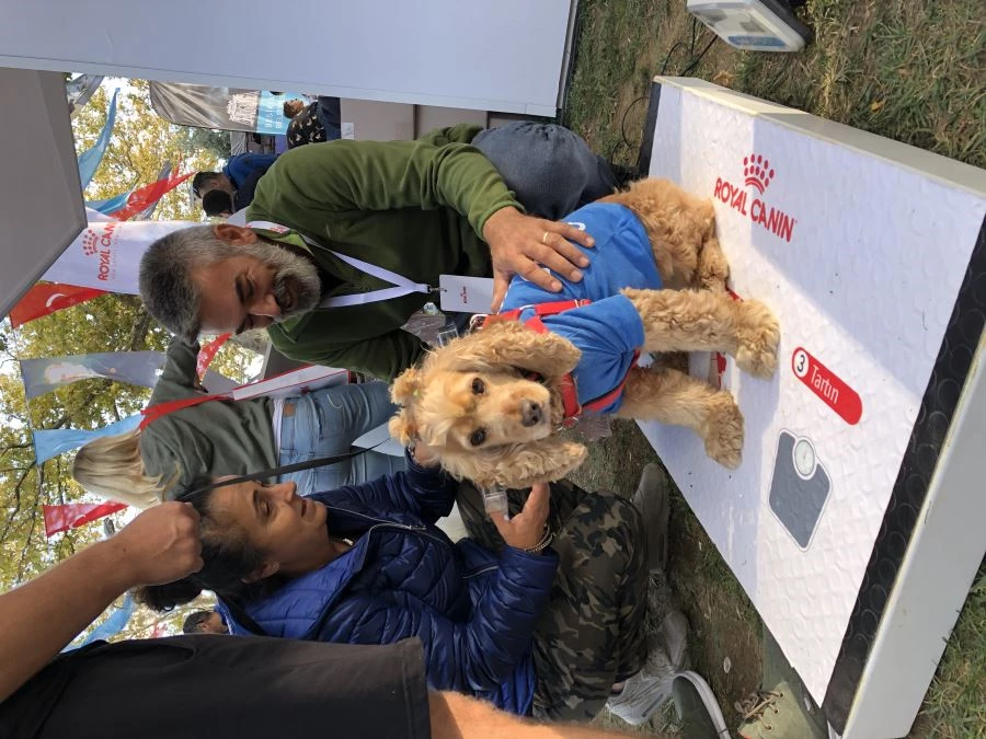 AŞIRI KİLO VE OBEZİTE HAYVANLARIN DA SAĞLIĞINI TEHDİT EDİYOR