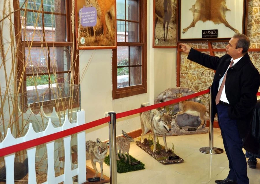 YABAN HAYATI, HAYVAN TAHNİTLERİ İLE TANITILIYOR