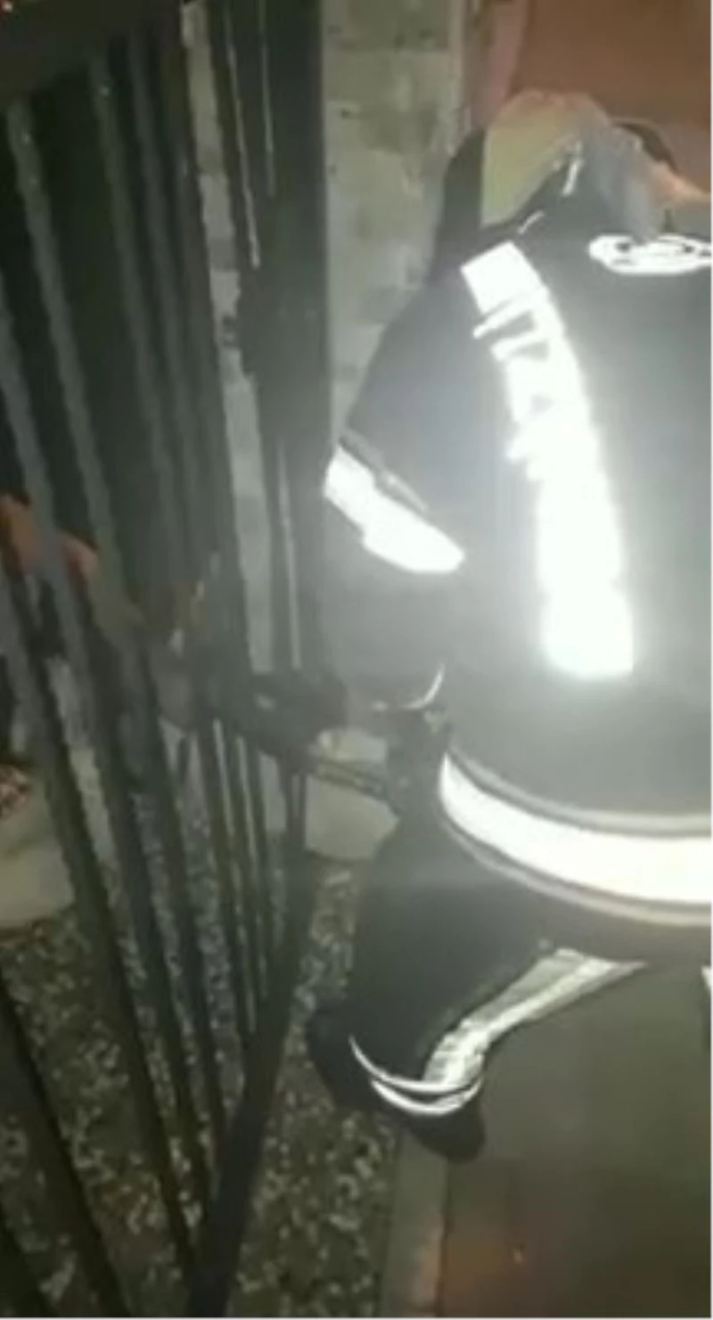Demir parmaklıklara sıkışan yavru köpeği itfaiye ekipleri kurtardı
