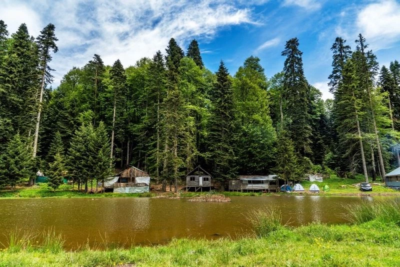 Kampçılar Pürenli yaylasını tercih etti
