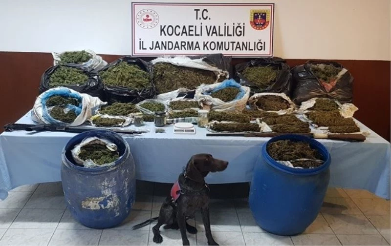 Evlerinde 61 kilo uyuşturucu ile yakalan 2 şahıs gözaltına alındı
