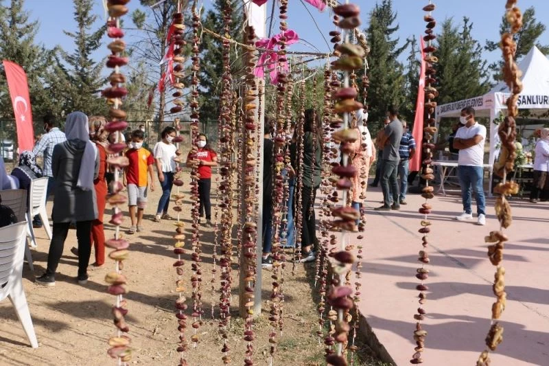 Şanlıurfa’da şire şenliği düzenlendi
