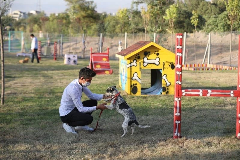 ‘Pati Yolu’na hayvan severlerden tam not
