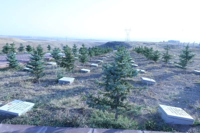 Hatay’da çıkan yangınlara Şehit Aileleri Derneği’nden ‘fidanlı’ tepki
