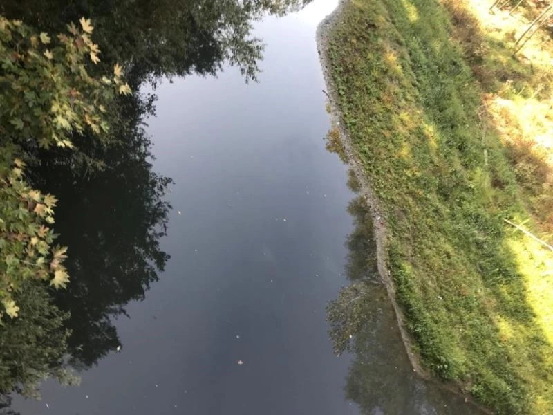 Bartın Irmağı siyaha büründü
