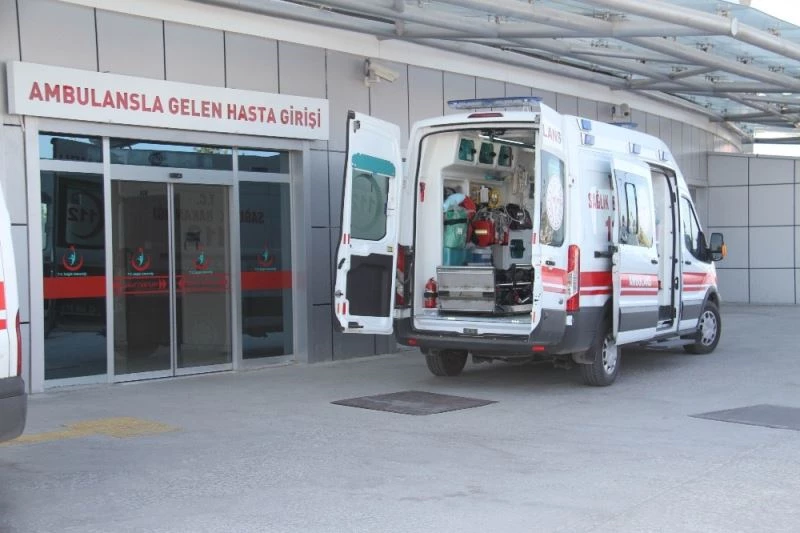 Ceviz ağacında kalp krizi geçirip yere düşen kişi hayatını kaybetti
