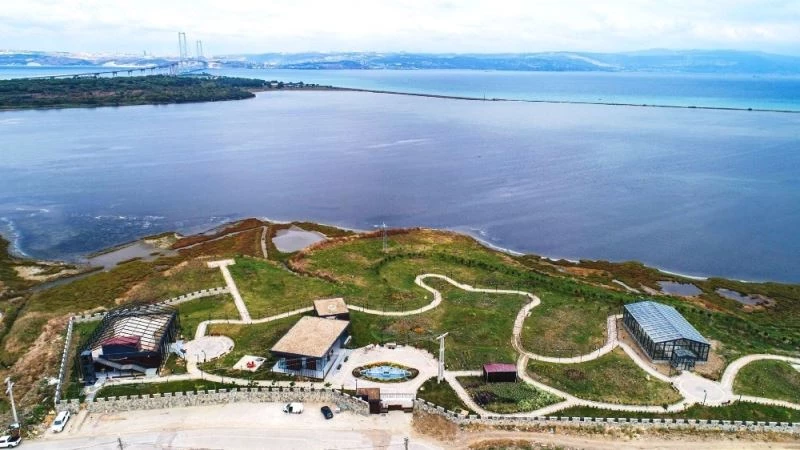 Yalova’daki kivi hasadını Tarım ve Orman Bakanı Bekir Pakdemirli başlatacak
