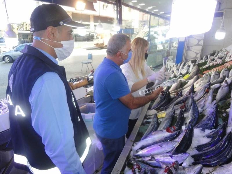 Gebzeli balıkçılar zabıta tarafından denetlendi
