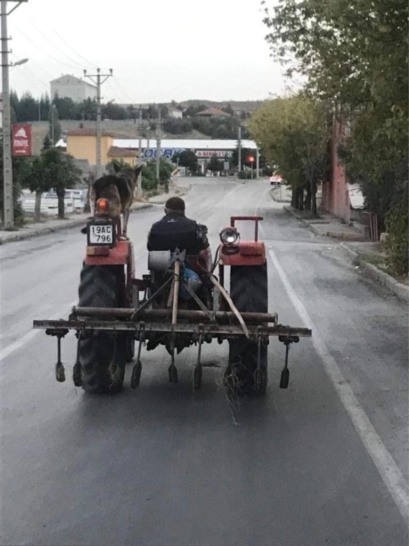 Köpeğini traktöre bindiren çiftçi gönülleri fethetti
