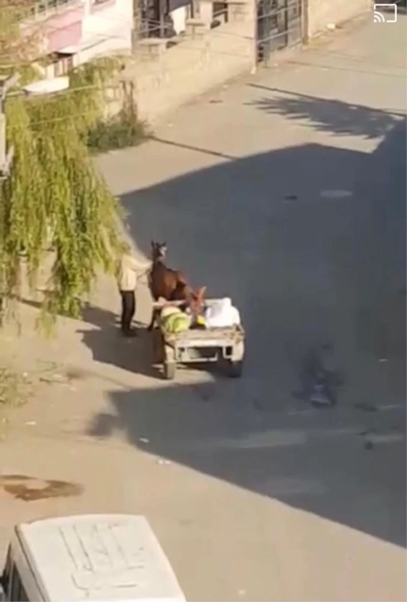 Yorgun düşen ata gitmesi için şişle şiddet uyguladı
