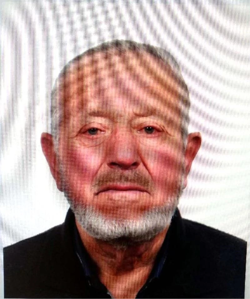 Ağaçtan düşen yaşlı adam 5 gün sonunda hayatını kaybetti
