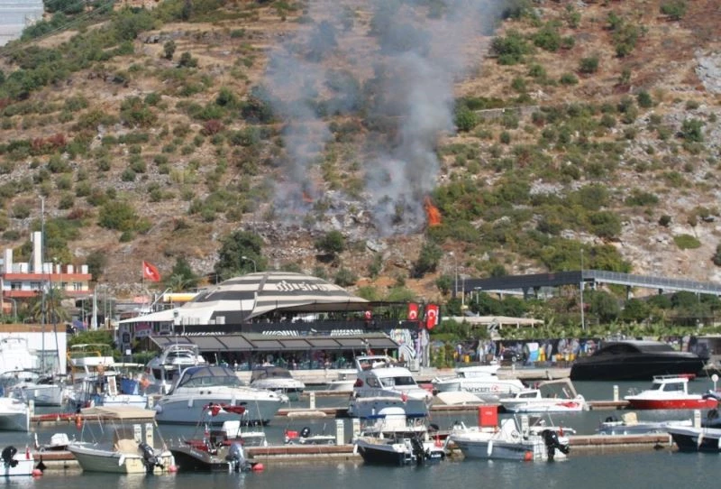 Marina karşısındaki yangın ormana sıçramadan söndürüldü
