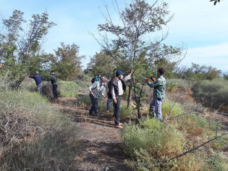 Erozyonu önlemek için ağaç dikildi
