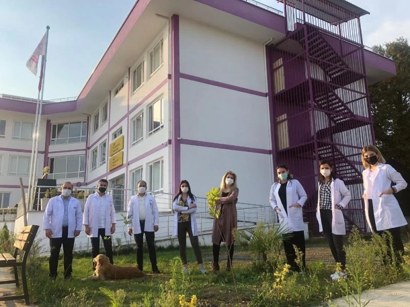 Uğurlu öğrenciler okul bahçesini ağaçlandırdı
