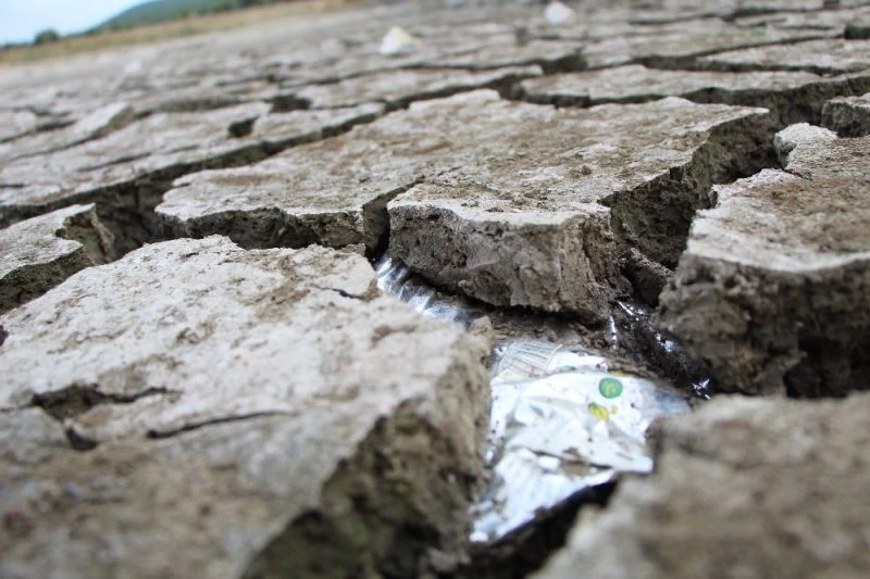 ‘Kuş Cenneti’nde kuraklıktan sular çekildi, insanoğlunun ayıbı ortaya çıktı
