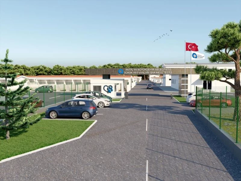 Sokak hayvanları bakım evi projesinin inşasına başlandı
