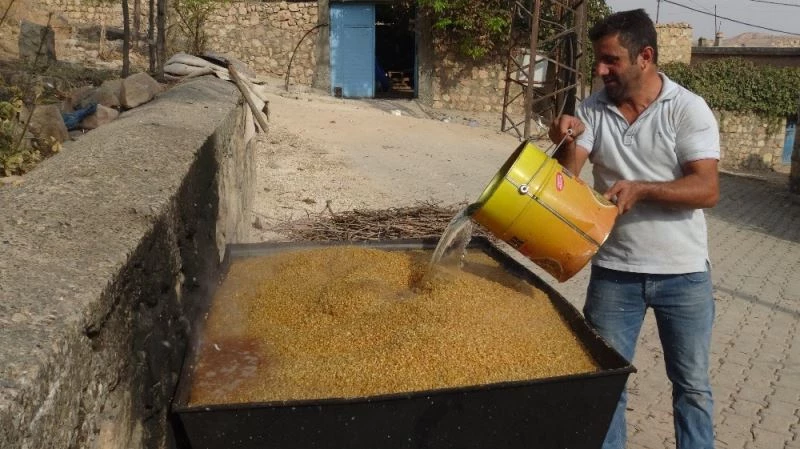 Gercüş’te buğday kaynatma geleneği devam ediyor
