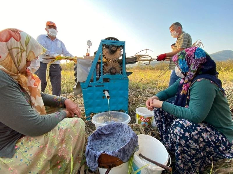 Yılda 1 kez üretilebilen şeker kamışı pekmezinin zorlu yolculuğu

