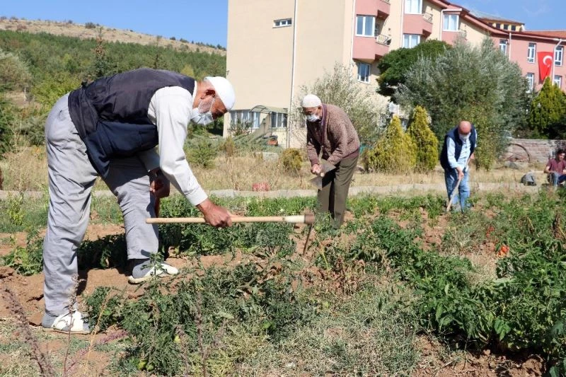 Pandemide bunalan huzurevi sakinleri huzuru toprakta buldu
