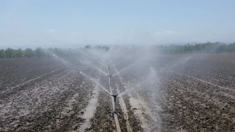 Bursa’da bu yıl içinde 622 bin dekar tarım arazisi sulandı
