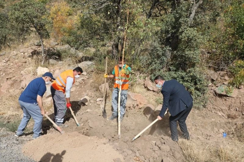 Talaslı Muhtarlar Ali Dağı’na ağaç dikti
