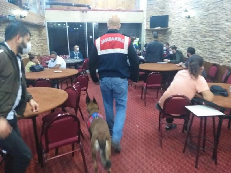 İzmir’de dernek ve depolara kumar baskınında 390 bin lira ceza kesildi
