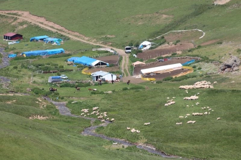 Yaylacılık kültürünü araştırıyorlar
