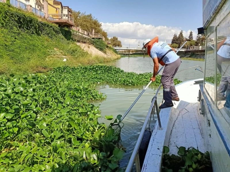 Su canavarları bariyerle önlenecek
