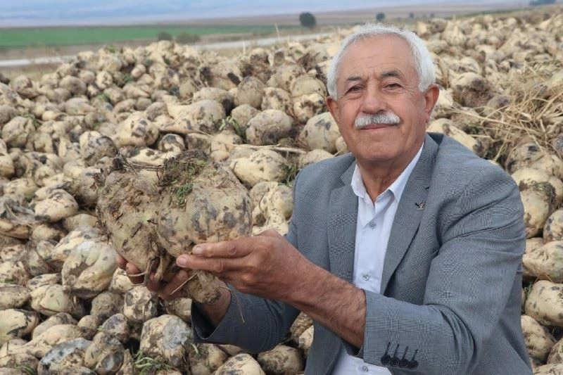 Öğretmendi, öğretti
