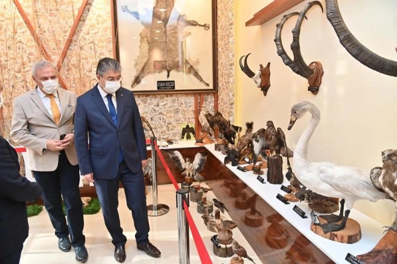 Osmaniye’de yaban hayvanları 73 tahnitle tanıtılıyor
