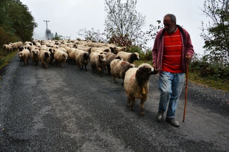 Yaylalardan dönüşler başladı
