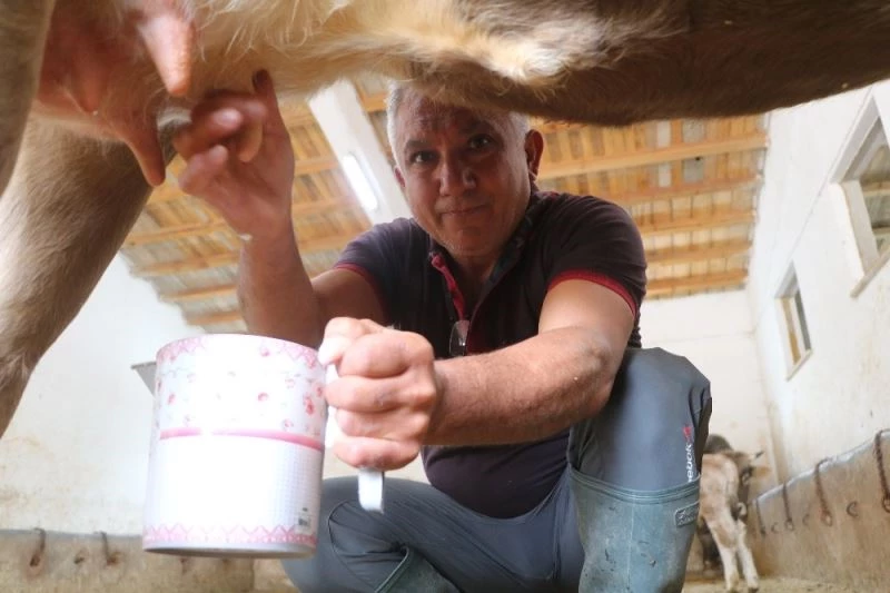 Tüketen değil üreten olmak istedi, 40yıl sonra köyüne geri döndü
