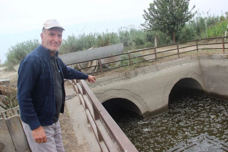 Barajlardan gelen su kesilince balıklar telef oldu
