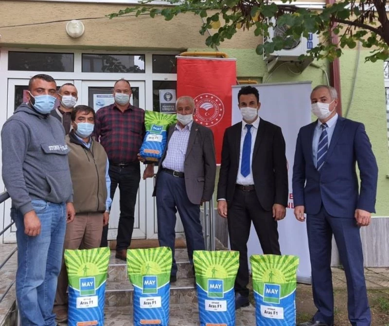 Çiftçilere ücretsiz ıspanak tohumu desteği
