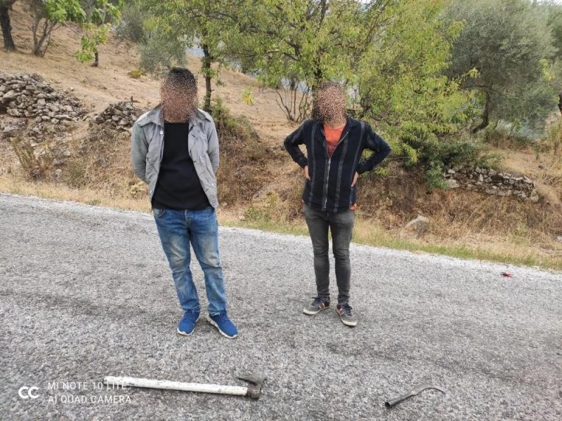 Hırsızlar, sadece kabloları değil öğrencilerin iletişimini de kesti
