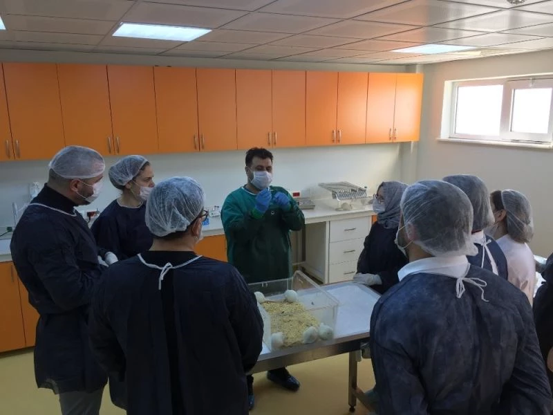 BAÜN-DEHAM, Bilimsel Üretkenlik Yarışında Akademisyenlerin Yanında
