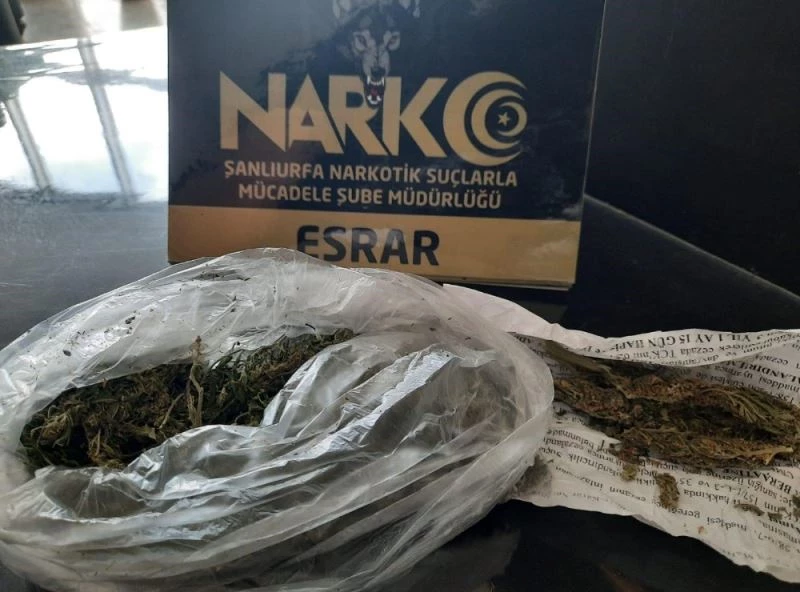 Uyuşturucu satıcılarına eşzamanlı operasyon
