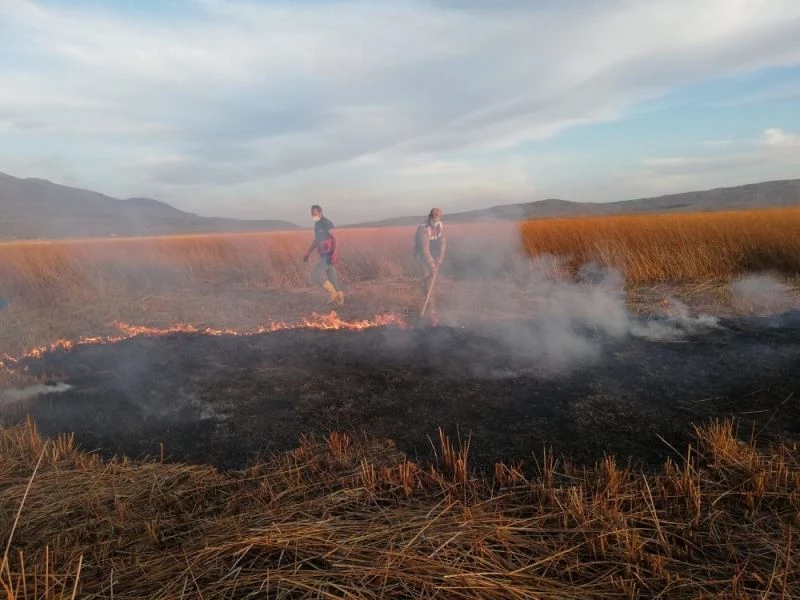 Kuş cenneti Cil Gölü’nde 10 dekarlık alan küle döndü
