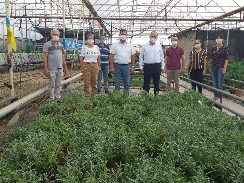 Serik’ten Van’daki 10 kadın çiftçiye 10 bin 400 adet tüplü lavanta fidesi
