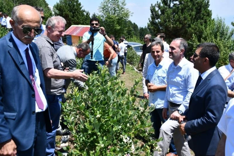İnegöl tarımı şahlanıyor
