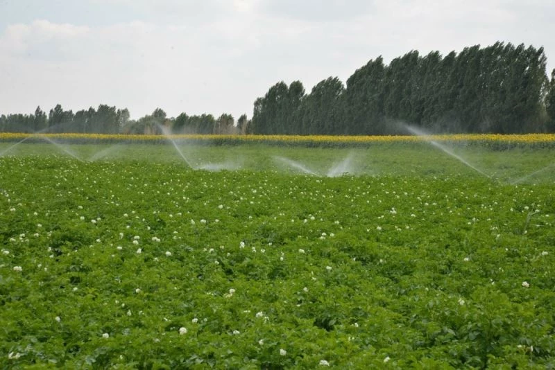 Denizli’de 2020 yılında 800 bin dekar tarım arazisi sulandı
