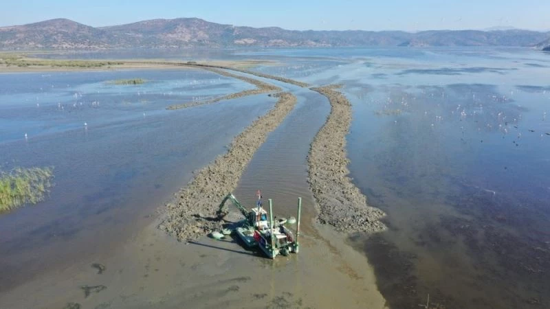 Büyükşehir kanalı açtı, Bafa Gölü nefes oldu
