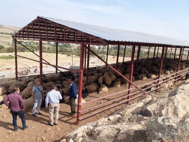 Meralarda yapılan yatırımlar incelendi
