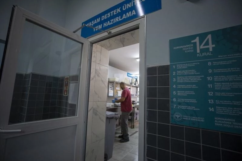 Akvaryum dalgıçları ekmek parasını köpek balıklarını besleyerek kazanıyor