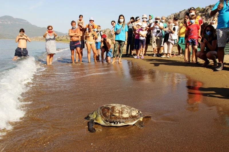 İztuzu sahilinde rekor yuva
