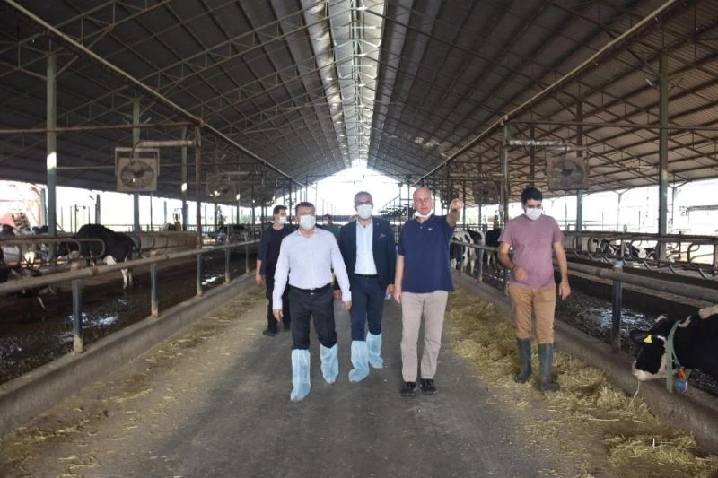 Kaymakam Şahin, Kocagür’deki çiftliği ziyaret etti
