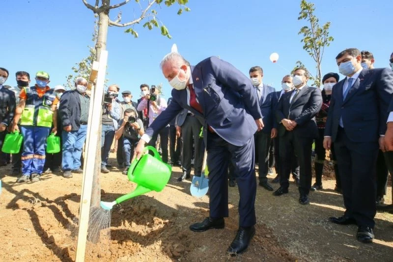 Parlamento gazetecilerine Ihlamur Ormanı
